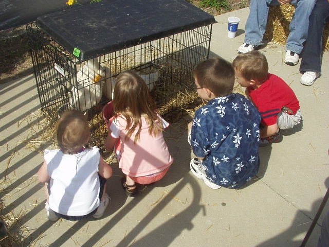 Everyone seemed to like the ducks :)