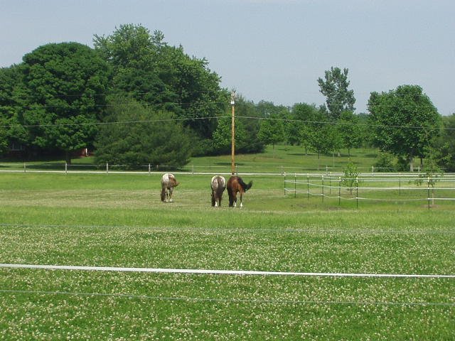 What kind of message is this sending?