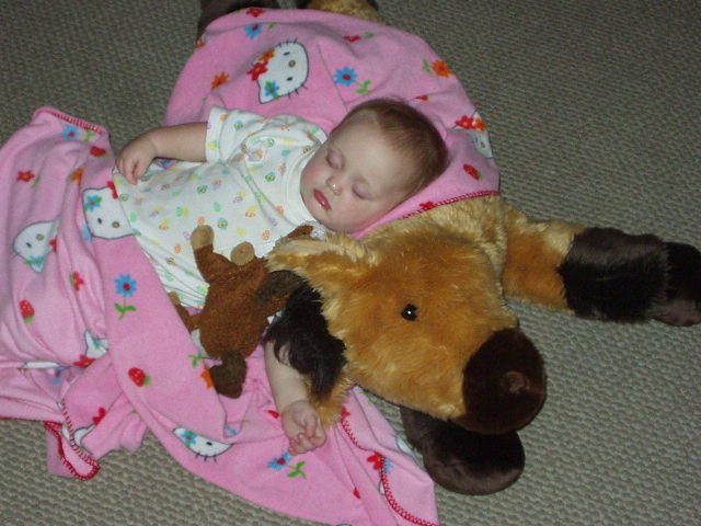 After a hard day on the range..Abigail's trusty steed is always there for her :)