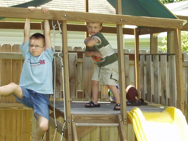 I think they are protecting their fort?? 