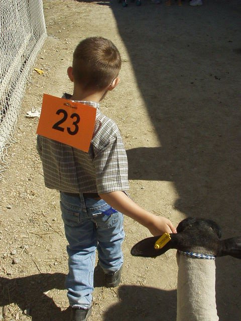 Timothy is a true 4-H'er with his ribbon hanging out of his pocket.