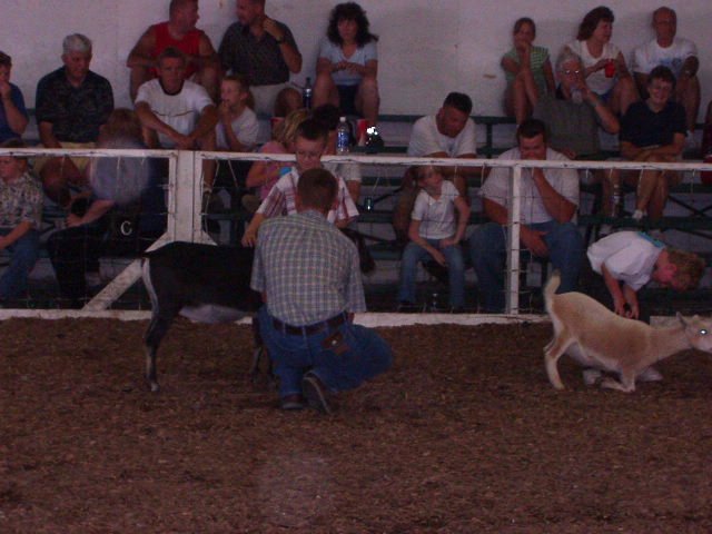 It is always nice when the mini-goat judge happens to be Uncle Bruce :):):)