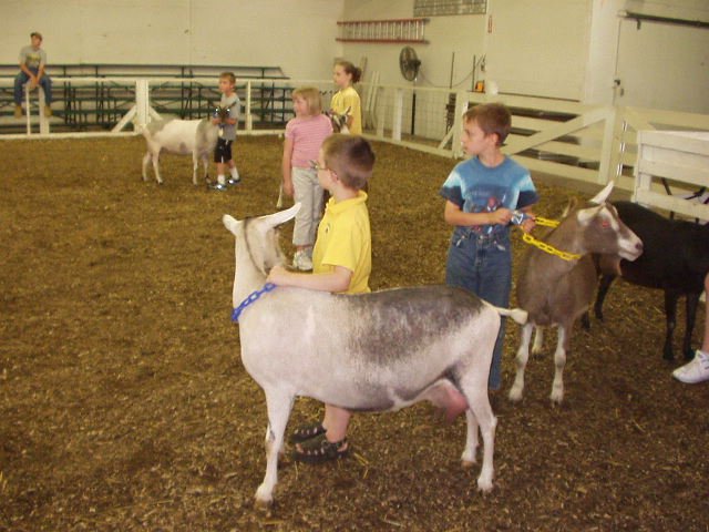 It is funny to watch Timothy showing an animal that is SOOOO much bigger than him :)