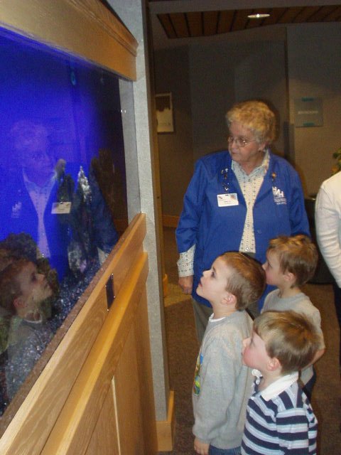 Where's Nemo?? Even the hospital guide doesn't know :P