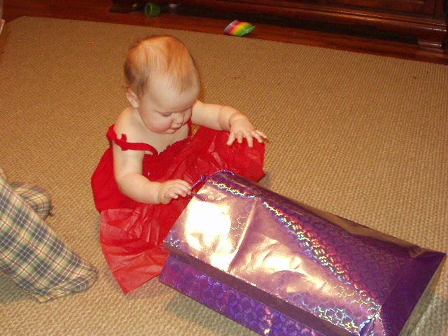 I wonder what is in here...