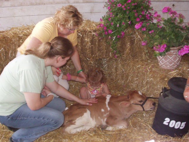 Can I ride the calf Mamaw???