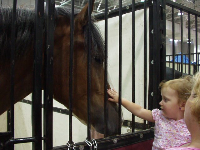 Abigail had to stop and touch every neigh-neigh in the barn!!