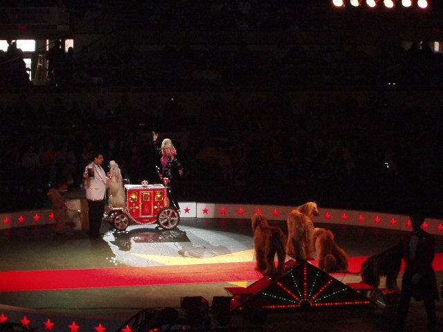 Abigail loved the doggies :)