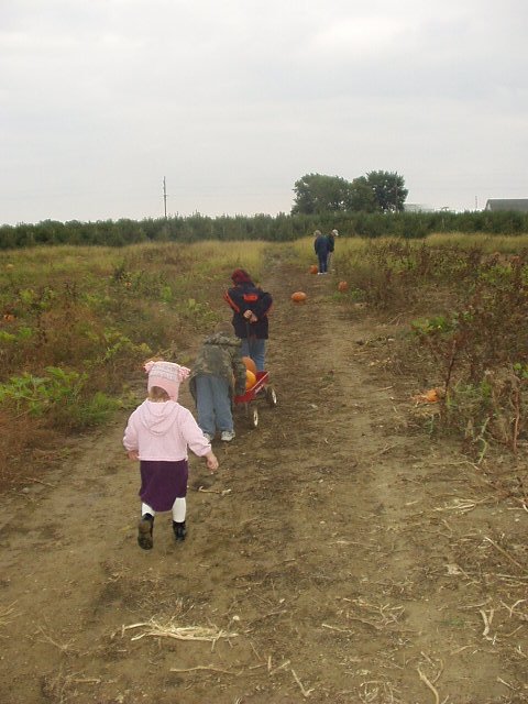 The boys have decided to switch :)