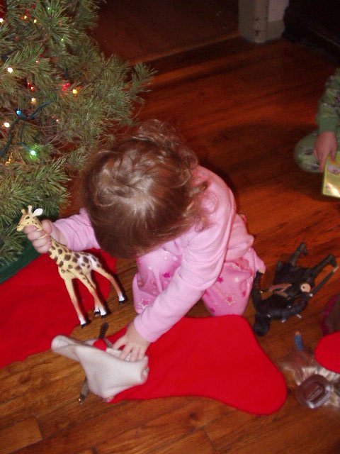 How does this giras (Abby) go back in?