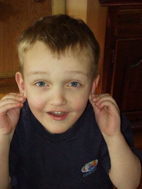 I look at this picture and hear screaming!!!! Grief he's loud!!