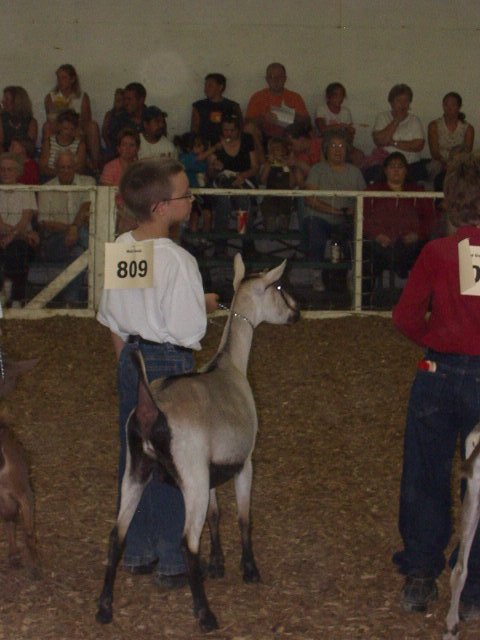 Timothy has turned into an awesome showman!!! We are very proud of you!