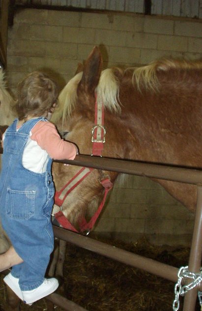 I'm just hanging out with Cap and Goldie :):)