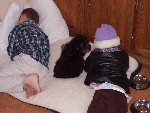 My bed...no, my bed...no, my bed!!