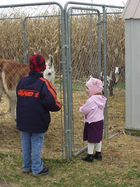 Timothy and I like the Llama!