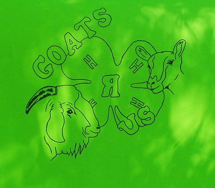 I'm proud of this sign. It does have several flaws. BUT!! In the 90 degree heat and in 30mins...I don't think it's that bad :)