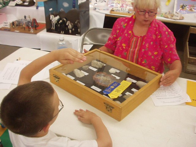 Timothy was given a yellow honors ribbon for doing an outstanding job with his collections!! He also may be going to the STATE FAIR!! woohoo! (first time!!!!)