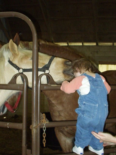 Goldie likes to give kisses!!!