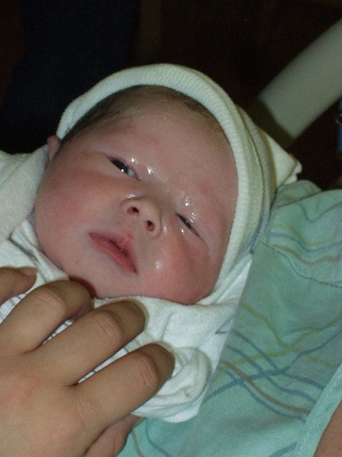 I thought I posted this one?? Guess we will have two now :) maybe :) hehe