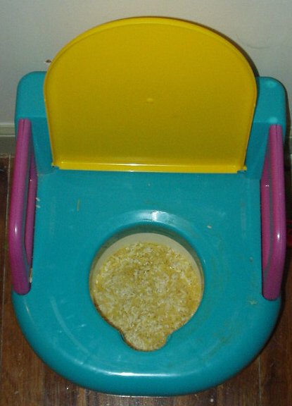 So, I am cooking dinner last night and a box of oriental rice vanishes...GUESS where it was found!! Abigail is a wonderful cook!!!