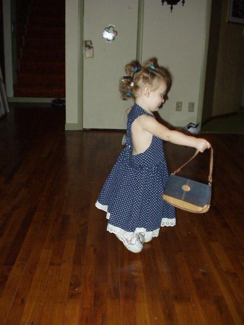 I'm princyrella :) Did you wonder where your purse was Aunt Joni??