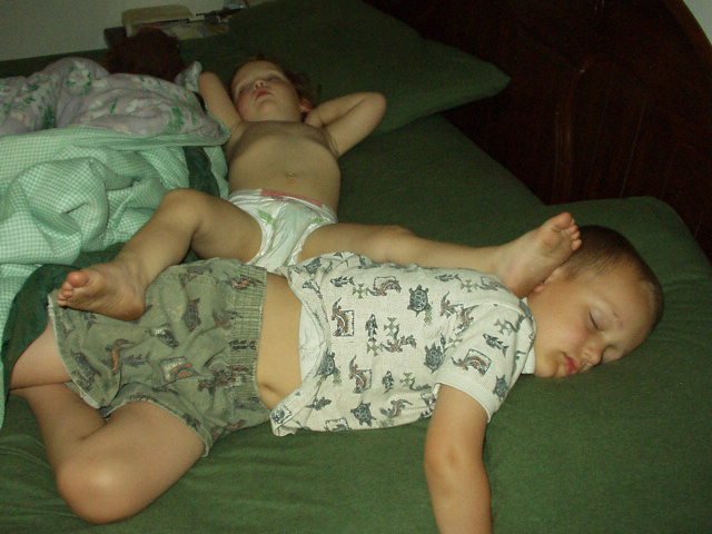 Look how well they are getting along :) So cute!