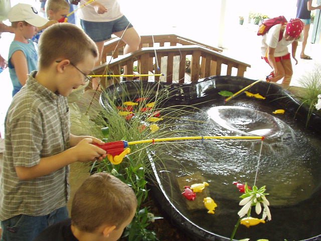 Why are we fishing for fake fish again??