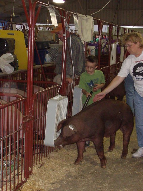 I learned a lot about pigs tonight :) It was really fun walking the pig around with Mamaw.