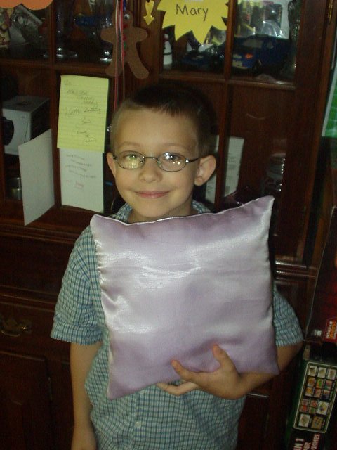 This is the pillow I made. It is going to the 4-H fair on Friday. I am going to give it to Mary after the fair :)