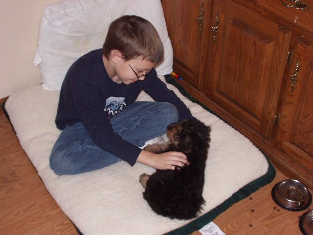 Scruffy loves spending time with Timothy :)