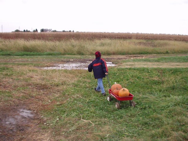 Timothy looks so tall in this picture!! wow!