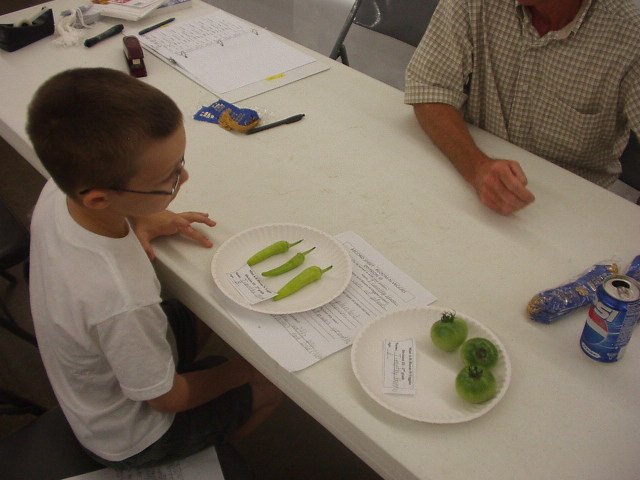 Timothy is talking to the judge about his veggies :)
