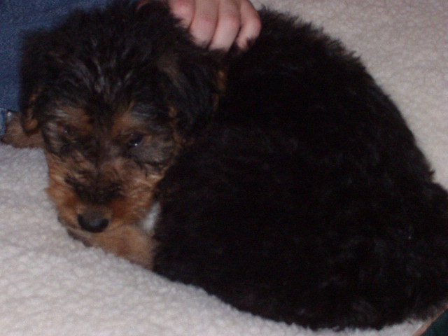 I just want to sleep!