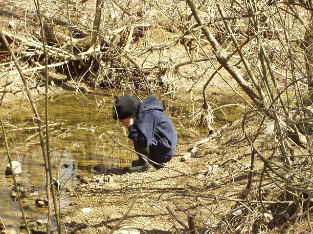 Look at the fish and mud and rocks and water :)