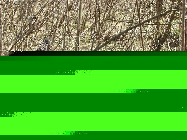 I can't get this picture deleted...sorry!