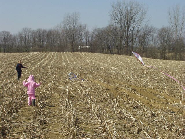 Mommy! My kite fell down :(