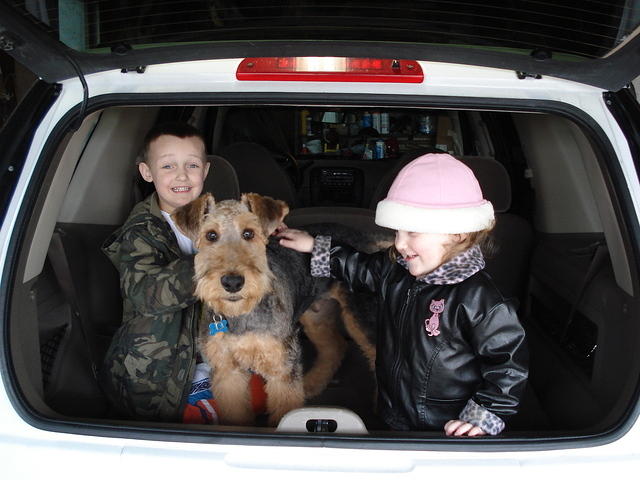 You can tell how intelligent Scruffy is just by the attentive look on his face.