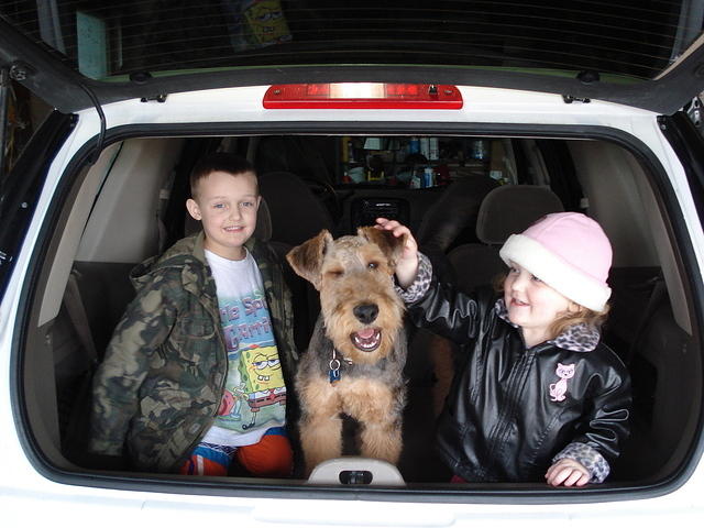 Believe it or not, Scruffy likes to wink ;)