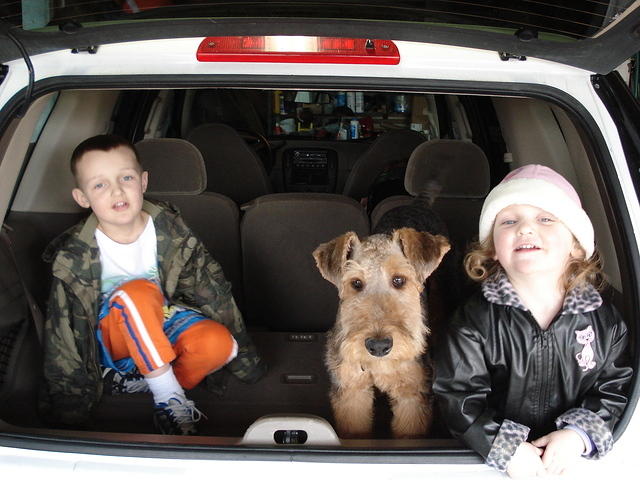 Scruffy's new haircut is awesome.  Thanks "Dirty Paws"!