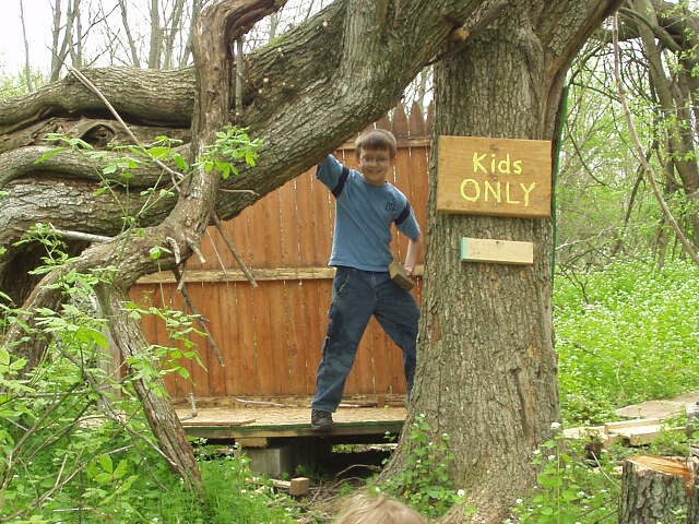 I'm the man of the tree house!