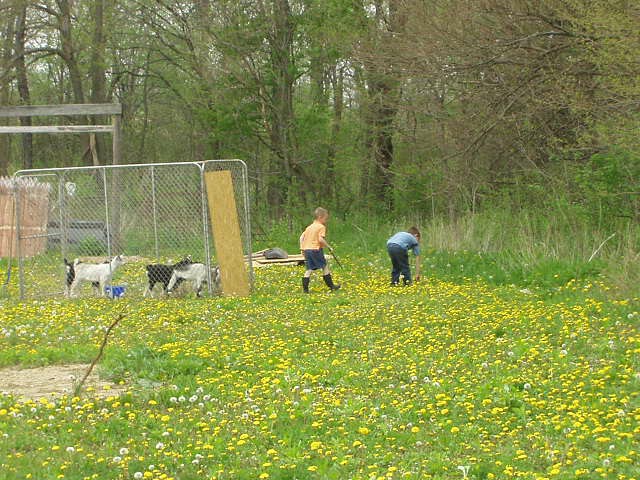 Can I poke Timothy with a stick??