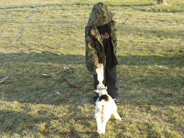 Elijah is a pro at feeding Sweetpea!