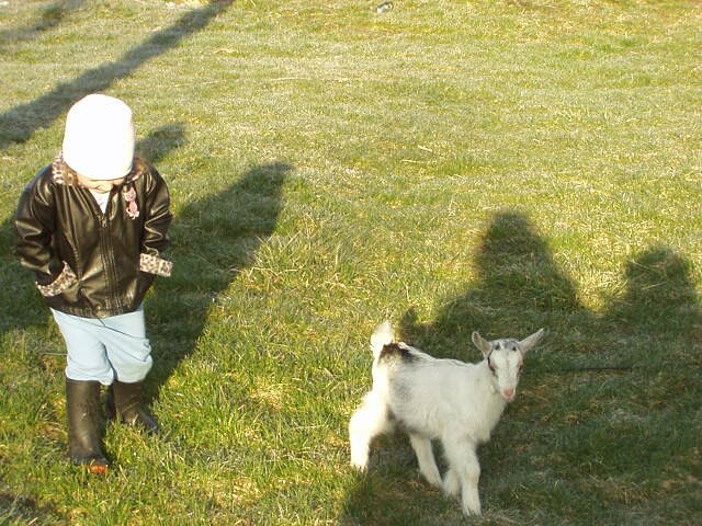 Let's go for a walk!