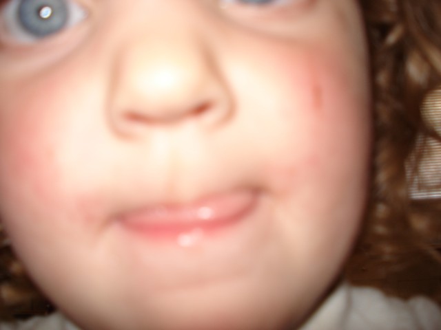 It's amazing what pics you find on the camera after Abby has played with it :)