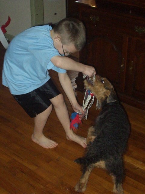 You would think the 54lb 9yr old would win this game! I guess the 20lb 3 month old has sharper teeth! hehe