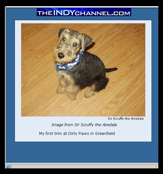 Another picture of our puppy! I will try not to let him take over this site :)