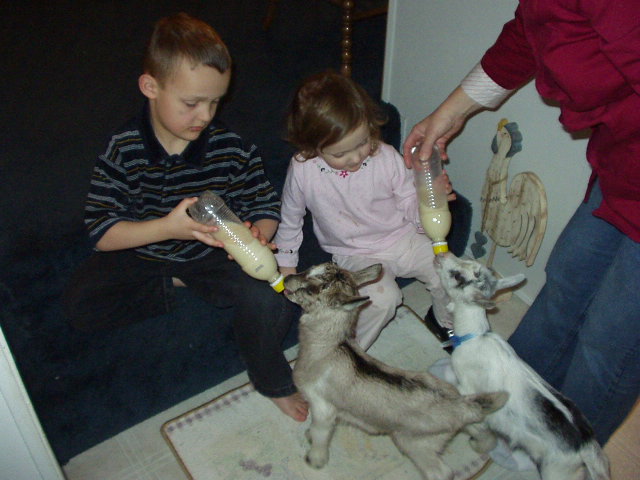 Bottle time!!! This is soooo fun :)