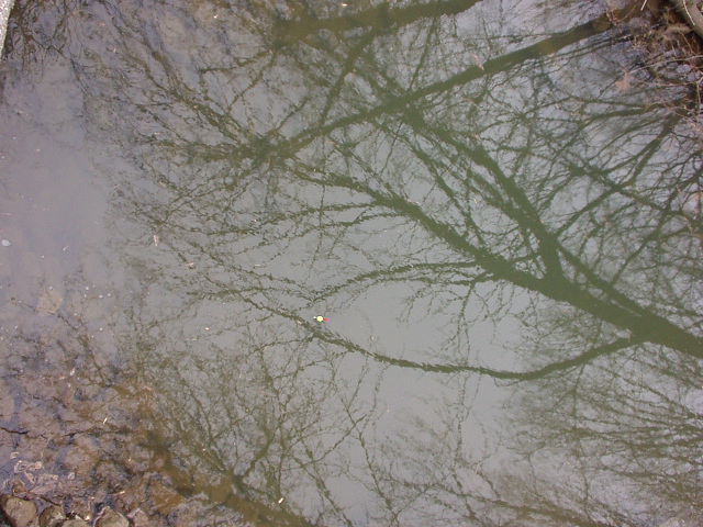 I just thought this was a cool picture :)