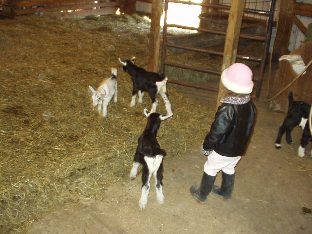 Hmmm....which one do I want???