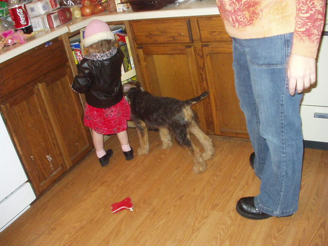 Abigail and Scruffy are looking for something to eat :)